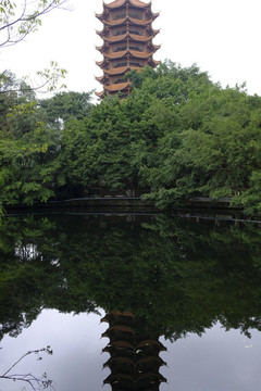 碧津公園