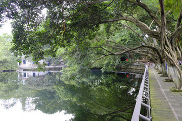 重慶碧津公園