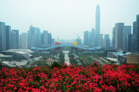 深圳市民中心全景