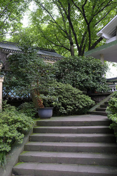 園林景觀