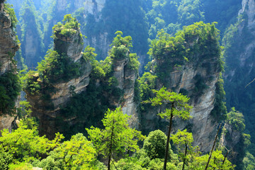 張家界砂巖峰林地質(zhì)景觀