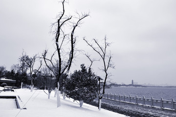 象湖雪景
