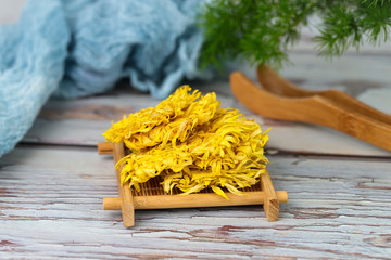 金絲皇菊