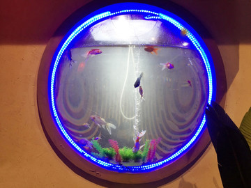 墻壁魚缸