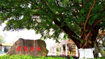 溫州景山公園
