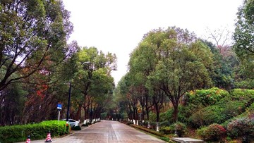 溫州景山公園