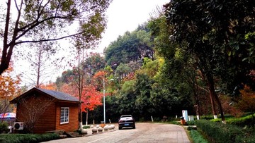 溫州景山公園