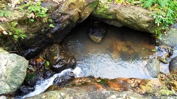 溫州景山公園