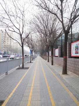 路