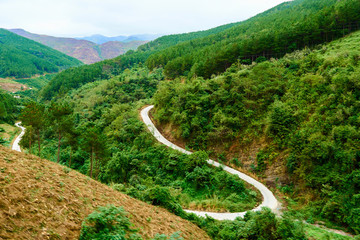 山間小路