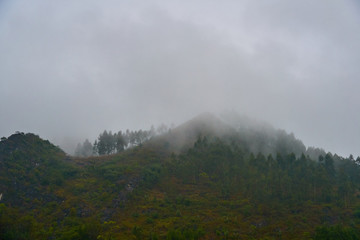 山霧