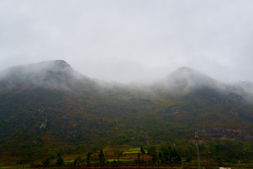 山霧