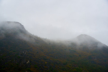 山霧