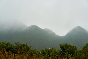 山霧