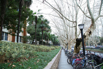 浙江大學(xué)玉泉校區(qū)