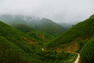 遠(yuǎn)山霧