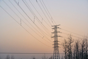 高壓電網(wǎng)