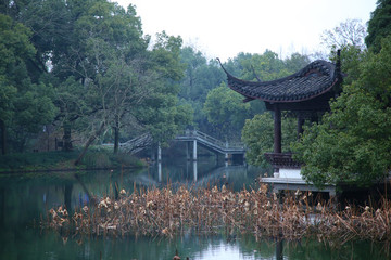 杭州曲院風(fēng)荷景區(qū)