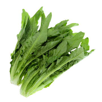油麥菜