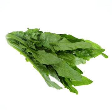 油麥菜