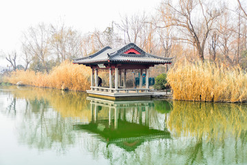 大明湖冬景