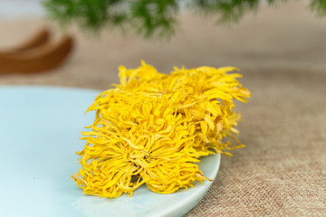 金絲皇菊