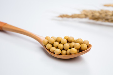 黃豆大豆