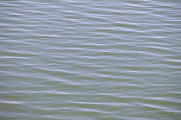 水波紋