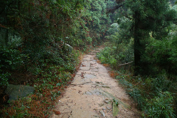 云霧廬山