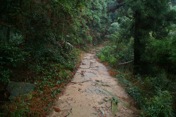 云霧廬山
