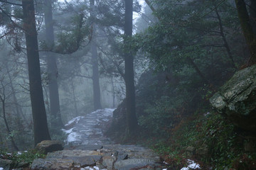 云霧廬山