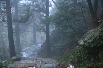 云霧廬山