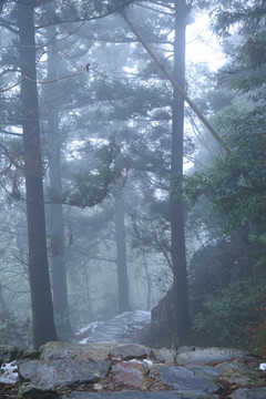 云霧廬山