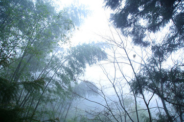 云霧廬山