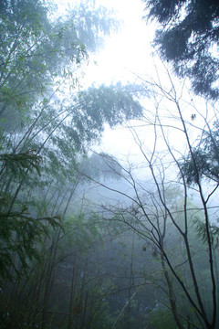 云霧廬山