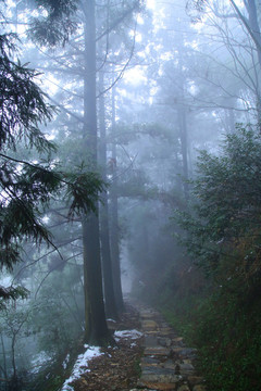 云霧廬山