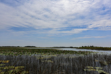 龍感湖美景