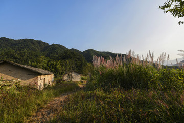 山里人家