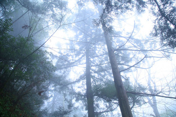 云霧廬山