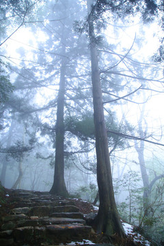 云霧廬山