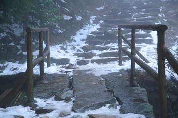 云霧廬山森林