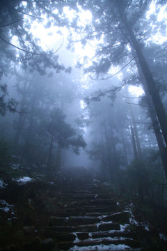 云霧廬山