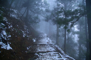 云霧廬山