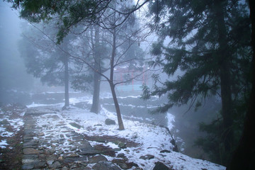 云霧廬山