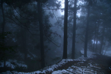 云霧廬山