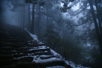 云霧廬山