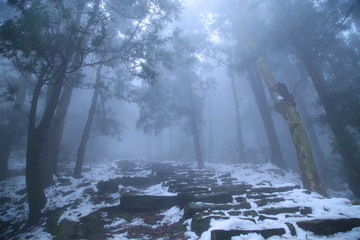 云霧廬山