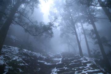 云霧廬山