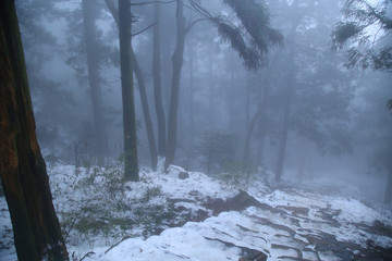 云霧廬山