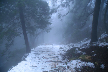 云霧廬山